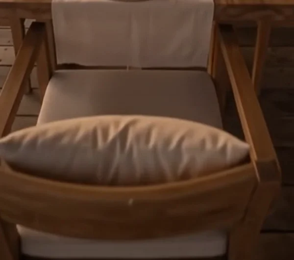 Rattan dining chair with cushion
